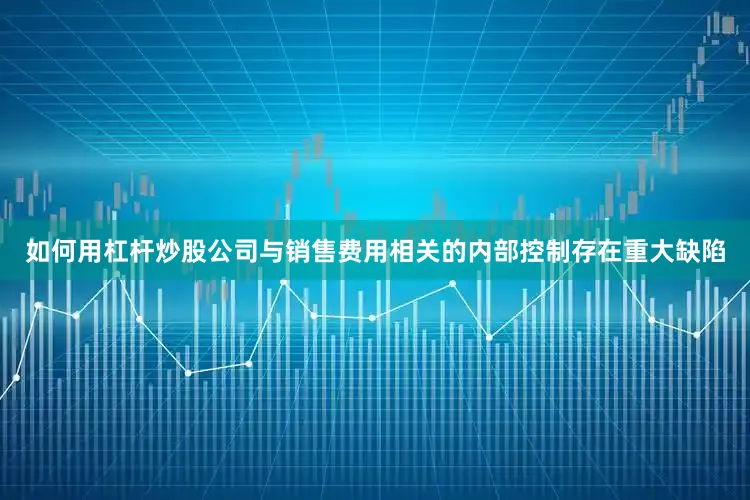 如何用杠杆炒股公司与销售费用相关的内部控制存在重大缺陷