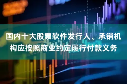 国内十大股票软件发行人、承销机构应按照商业约定履行付款义务