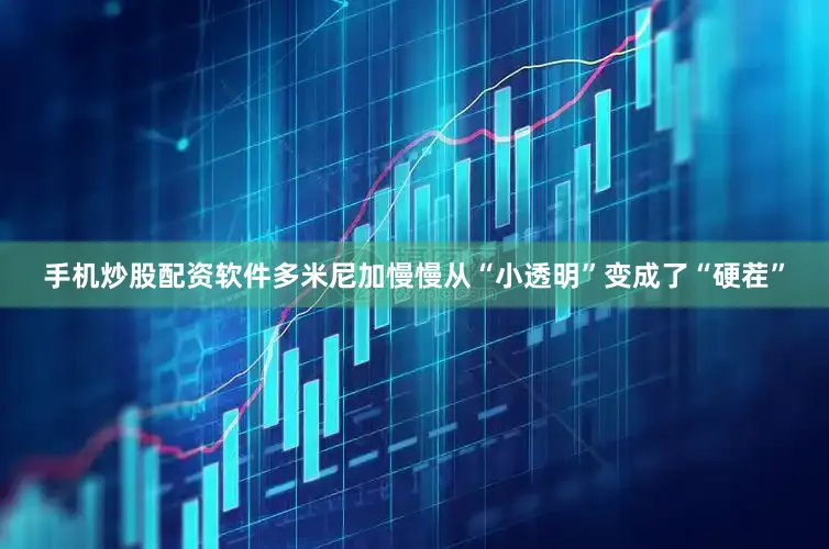 手机炒股配资软件多米尼加慢慢从“小透明”变成了“硬茬”